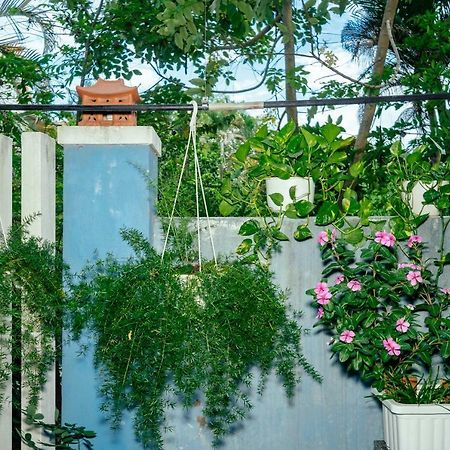 הוי אן Green Bud Hostel And Homestay מראה חיצוני תמונה