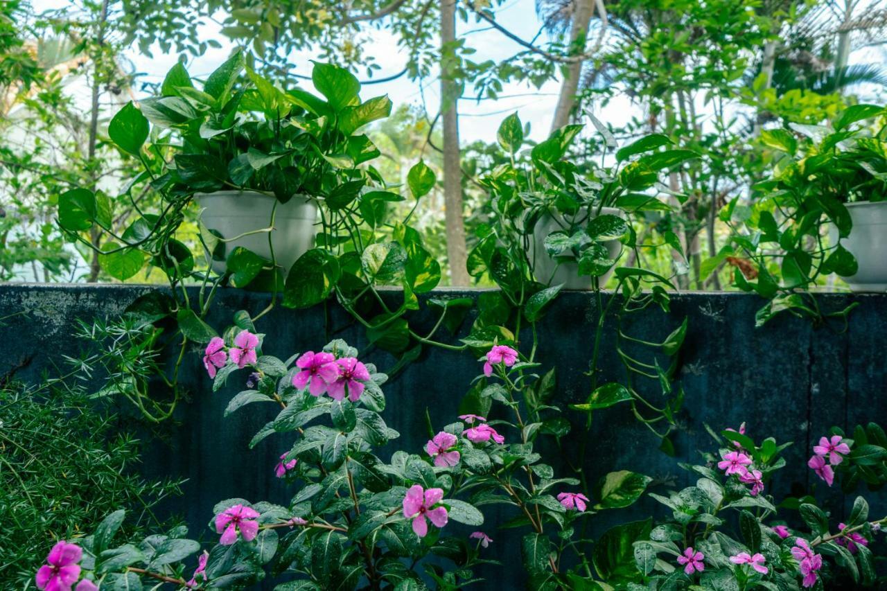הוי אן Green Bud Hostel And Homestay מראה חיצוני תמונה